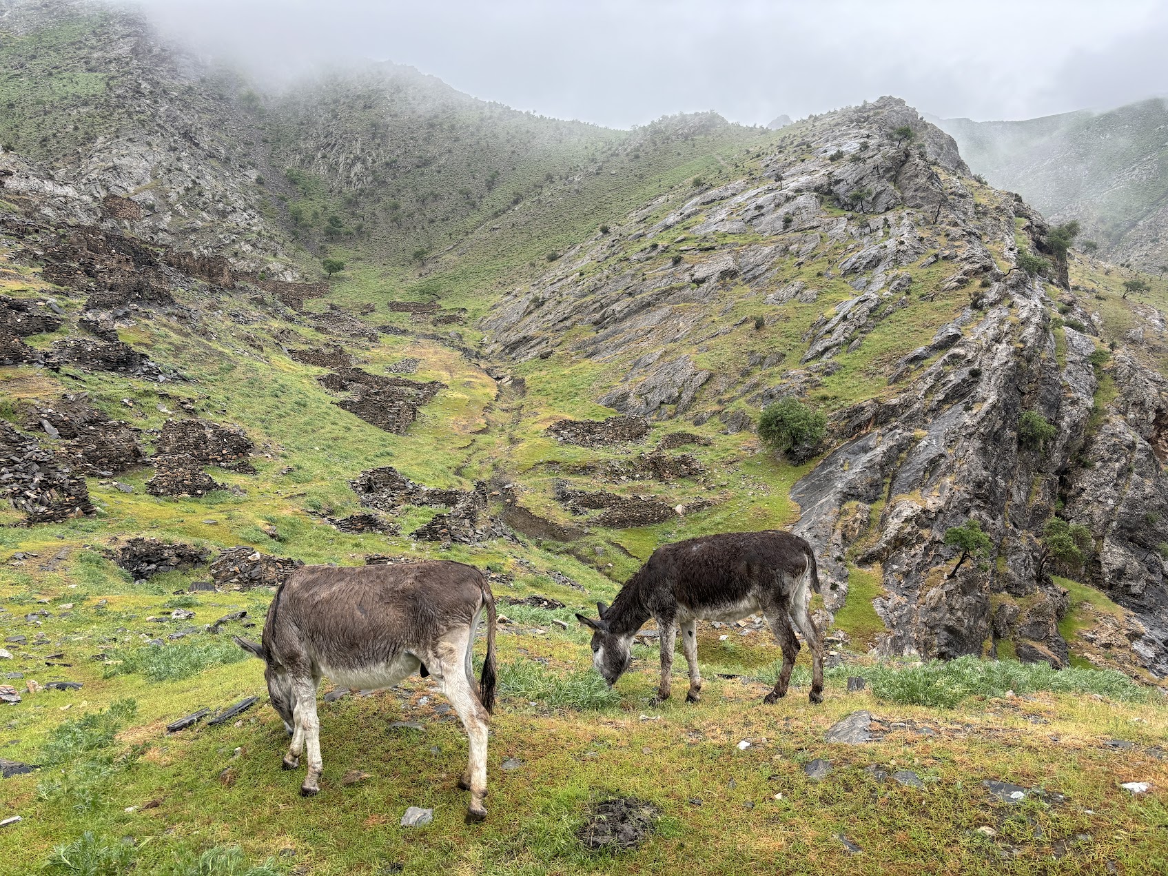 Days 6-7: Hiking in the Nurata Mountains and Journey to Bukhara